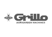 Grillo