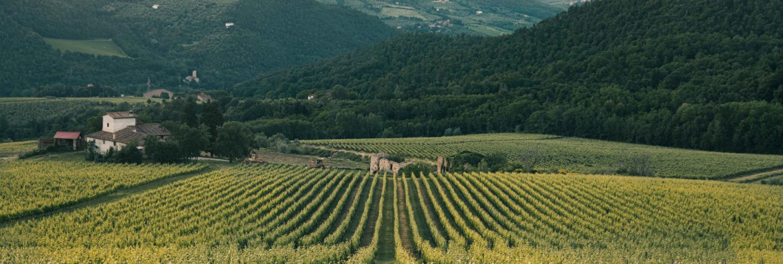 E-commerce per le imprese agricole e agroalimentari.