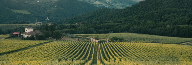 E-commerce per le imprese agricole e agroalimentari.